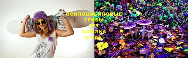 таблы Алексеевка